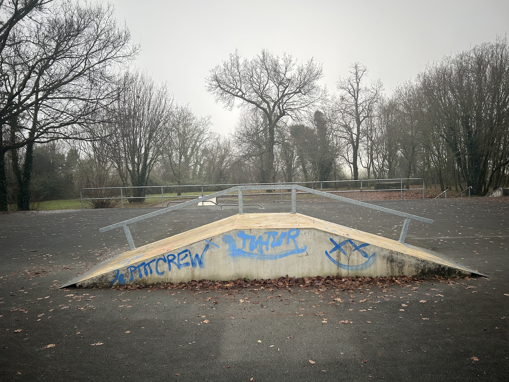 Tonnay-Charente skatepark